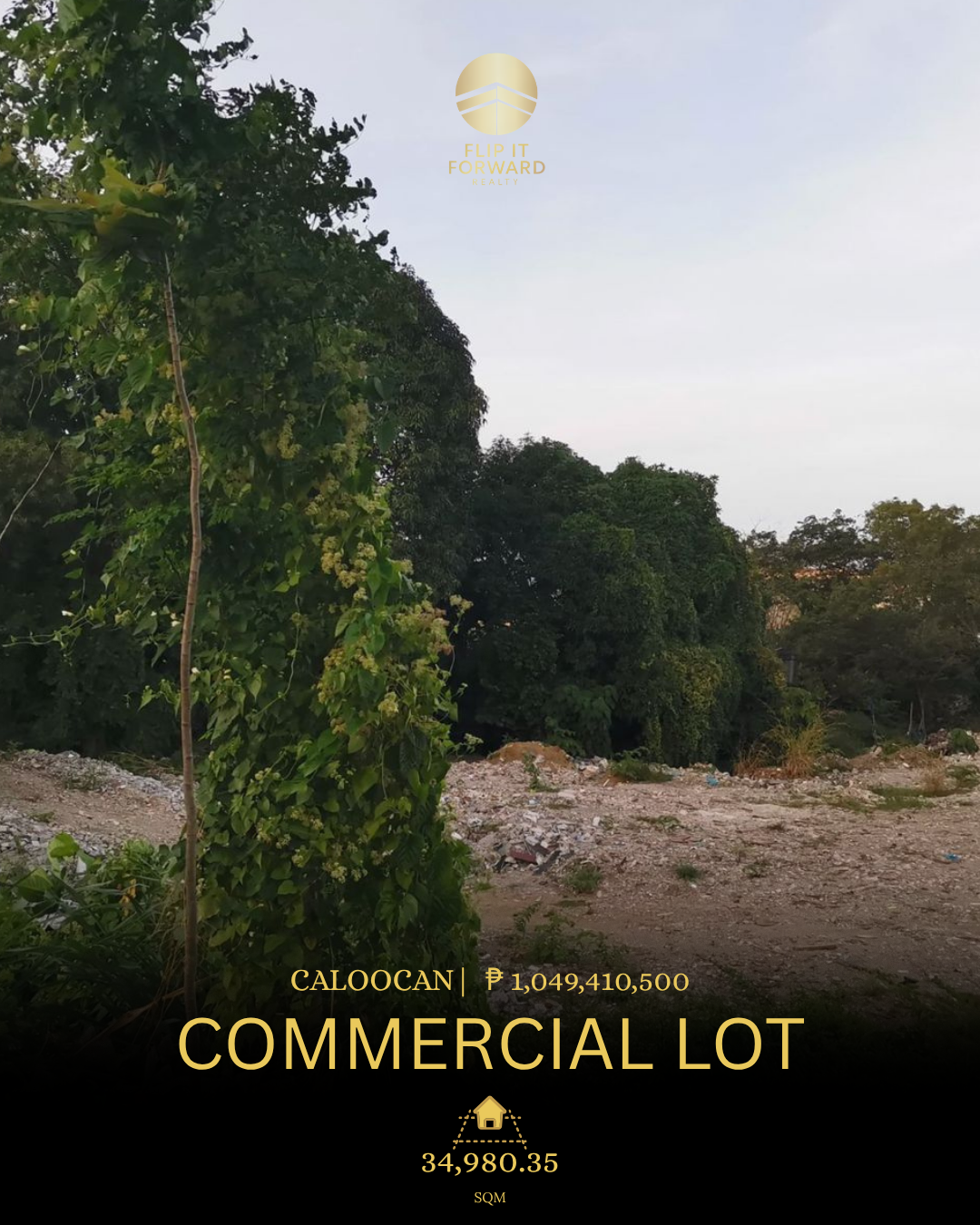 Caloocan House for Sale