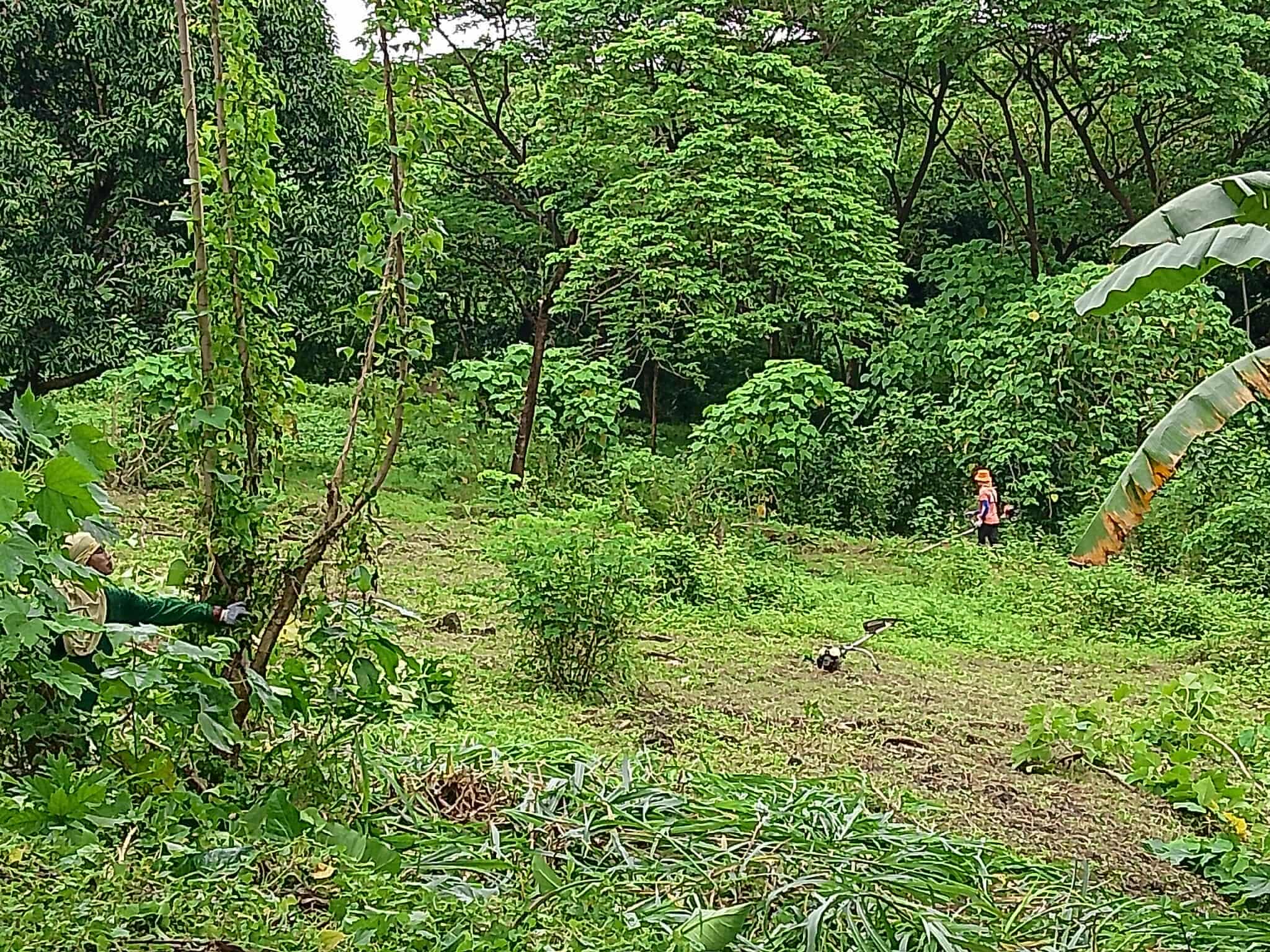 Parañaque Condo for Rent