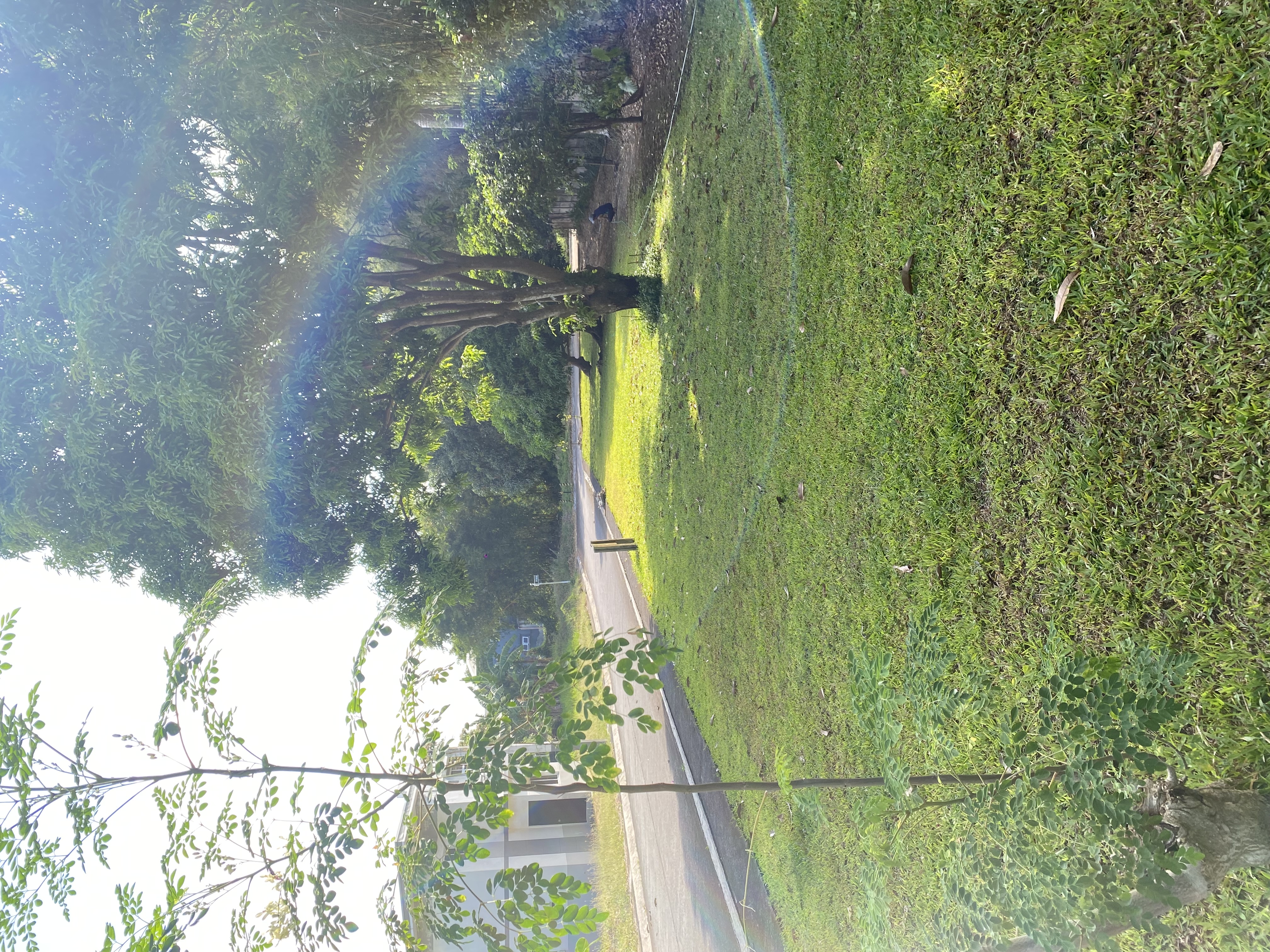 Trece Martires City Property for Sale