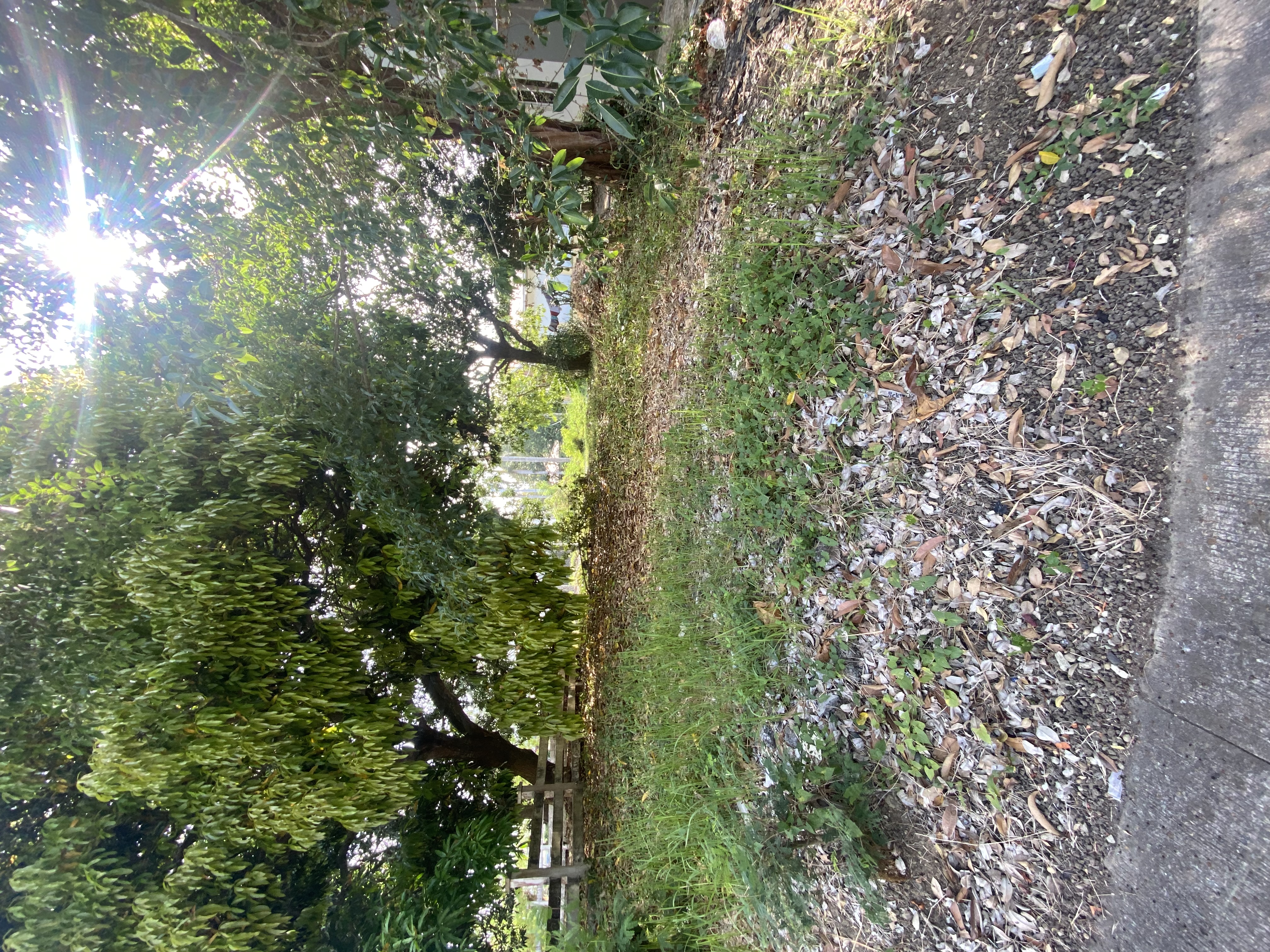 Trece Martires City Property for Sale