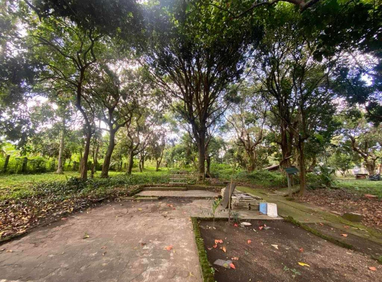 Amadeo House for Sale